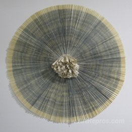 ciliary #11