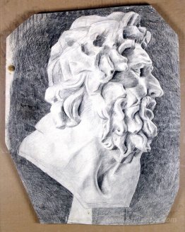 The head of Laocoon in the profile