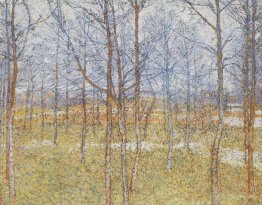 Spring landscape