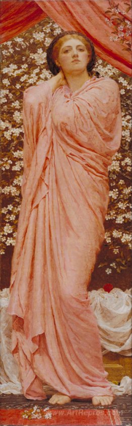 Blossoms