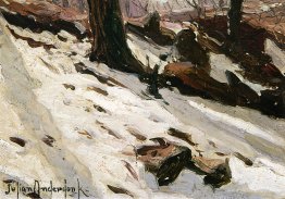 Snow near the Cave, Central Park, New York