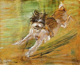 Jumping Dog Schlick