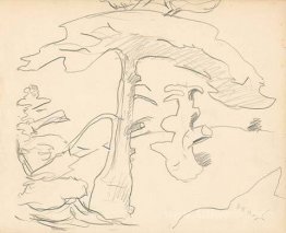 Monhegan (study)