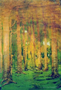 A Birch Grove. Spots of sunlight