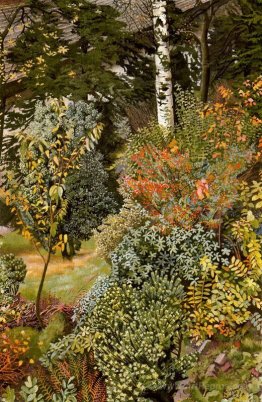 Garden Scene. Port Glasgow.