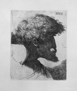 Old man`s head in profile