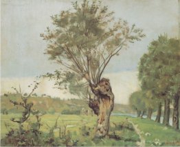 Pastures at the Jonction at Geneva