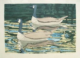 Canadian Geese