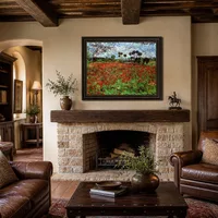 Field with Poppies — Italian Villa