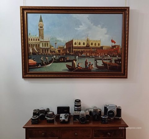 Photos of our paintings