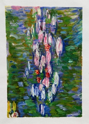 Water Lilies