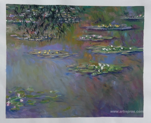 Water Lilies