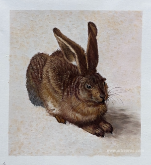 A Young Hare 