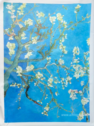 Branches with Almond Blossom 