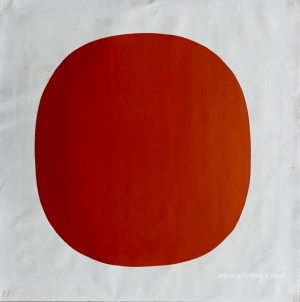 586/69 (Rounded Red)