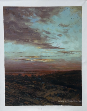 Evening Migration of birds