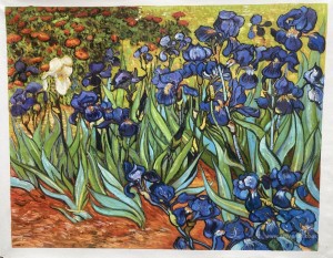 Irises