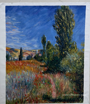 Landscape on the Ile Saint-Martin