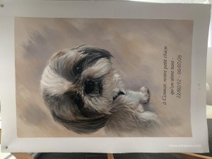 Customized art