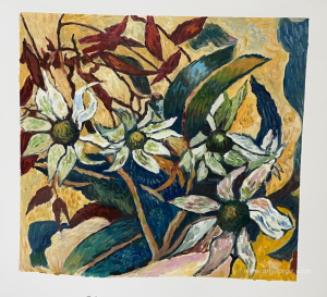 Flannel flowers and gum leaves