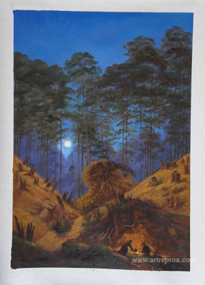 Inside the Forest under the moonlight