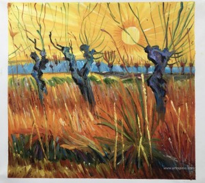 Pollard Willows and Setting Sun