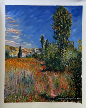 Landscape on the Ile Saint-Martin